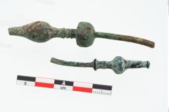 Foto von Bronzegewandnadelspitzenschoner (NHMW-PRAE-026596)